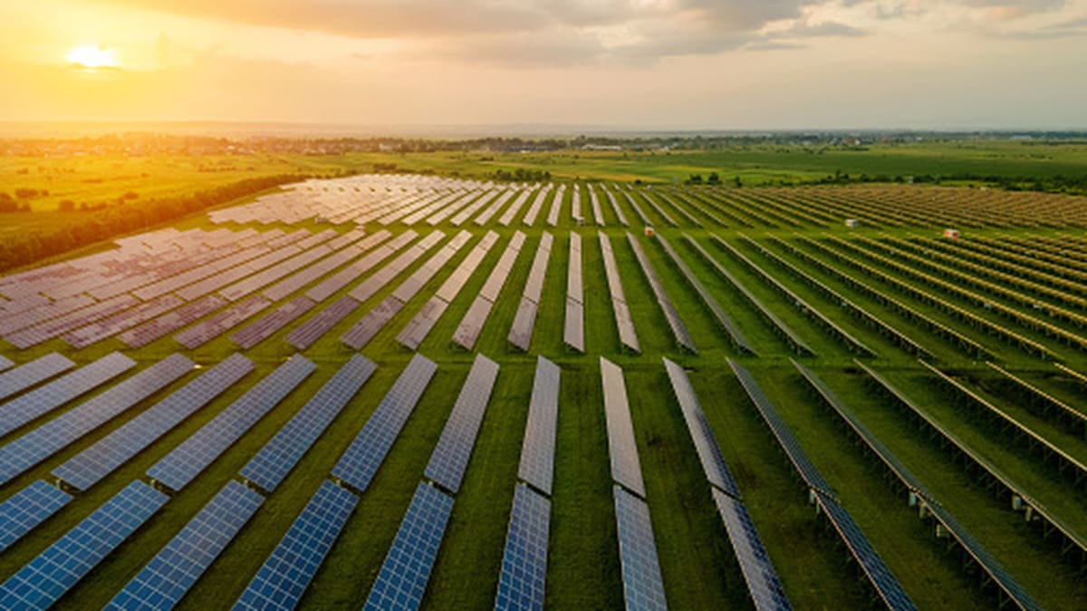 Solar Farms Now Growing Food and Saving Water Across U.S. - Image 2