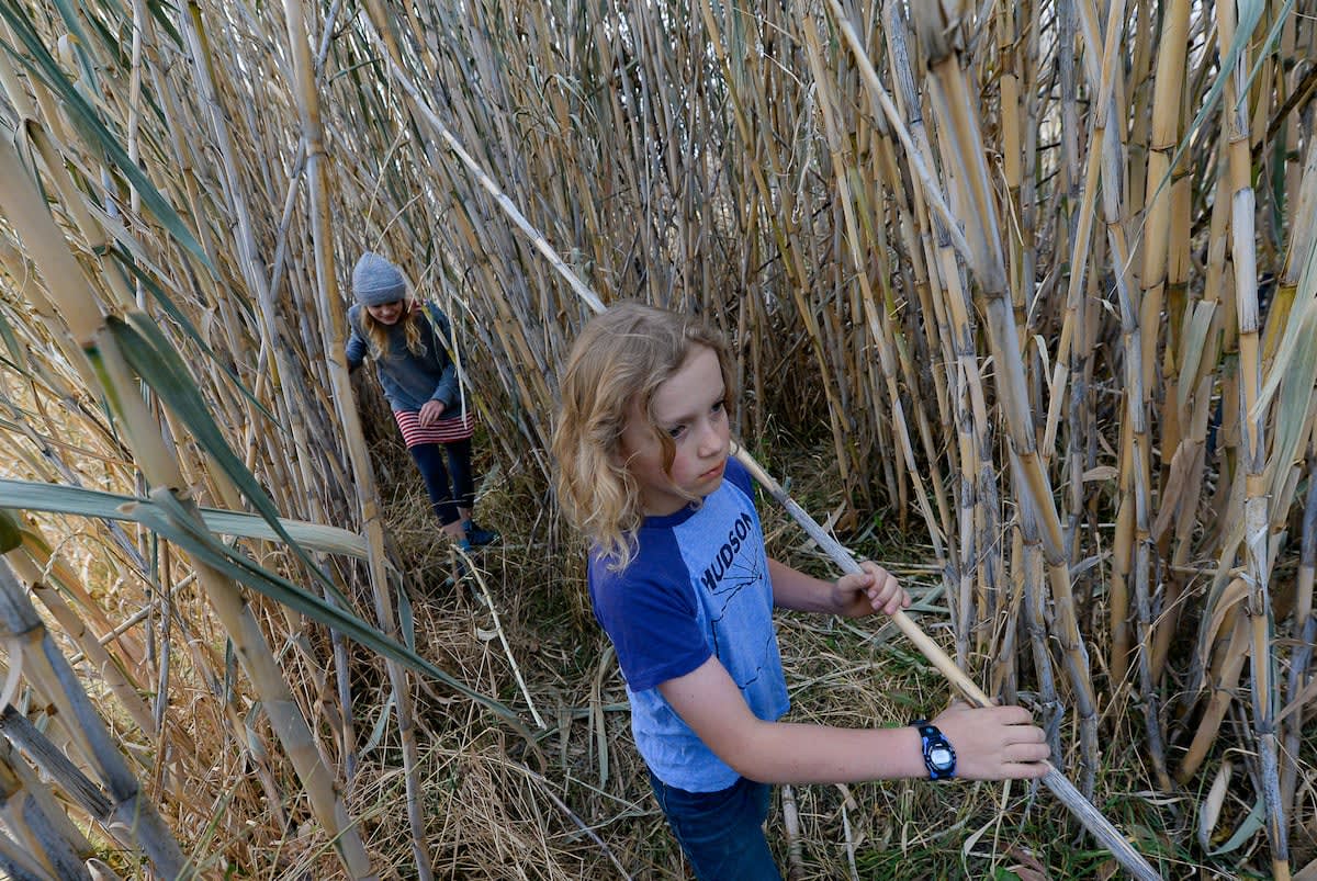 Utah students exploring nature outdoors during environmental education outdoor school learning program