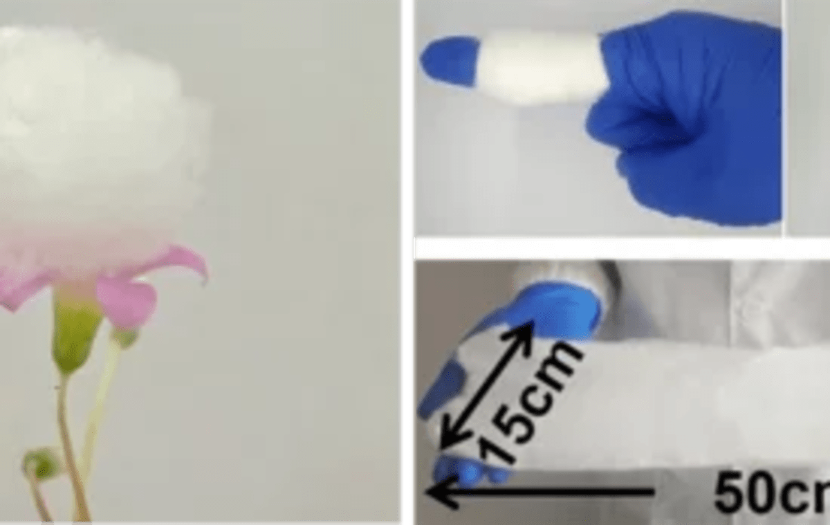 Scientists Crack Code to Make Solar Cells 20% More Efficient - Image 3