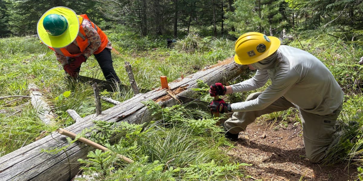 Oregon Volunteers Clear 330 Logs After Devastating Storms - Image 2