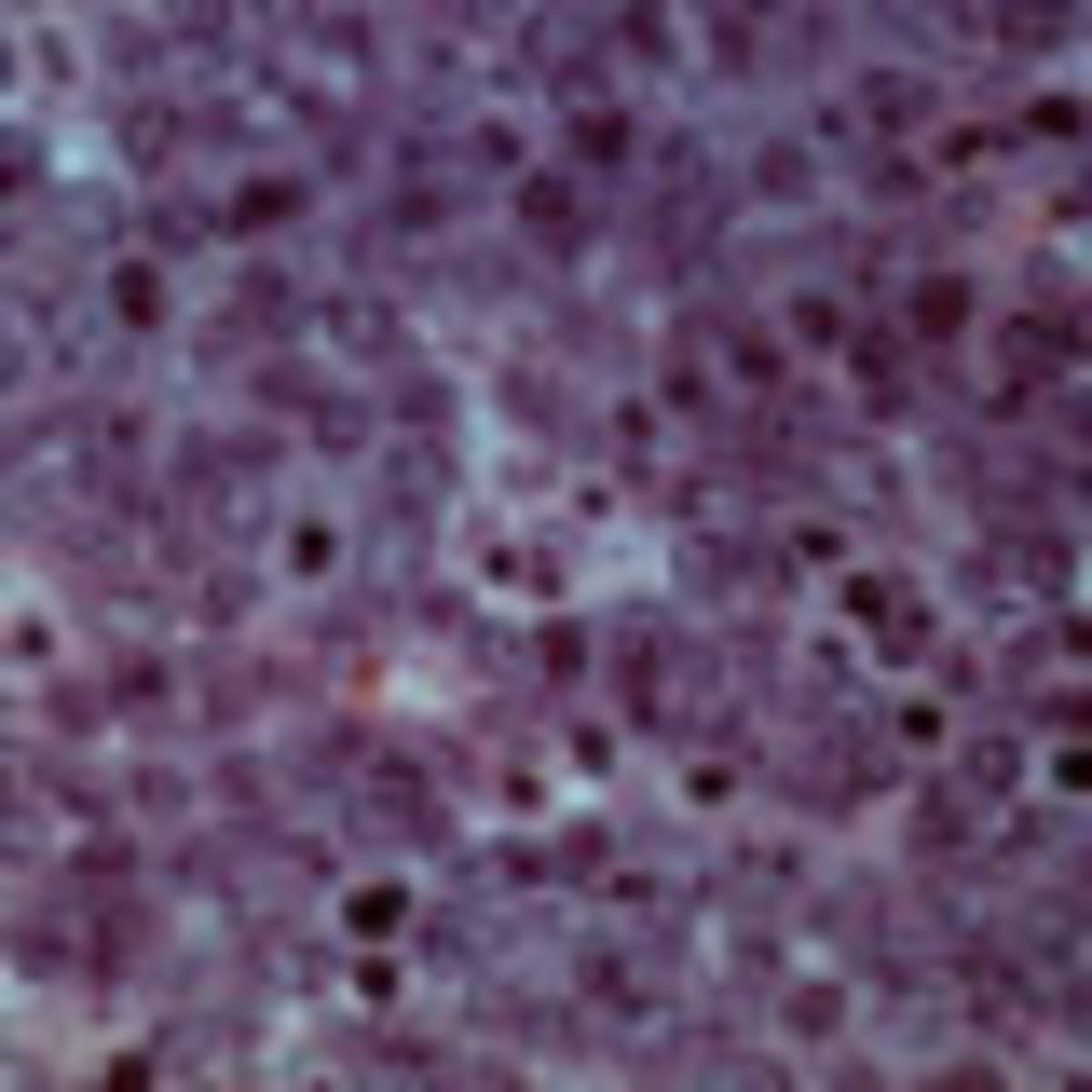 Nurses Could Transform Public Health Messaging - Image 4