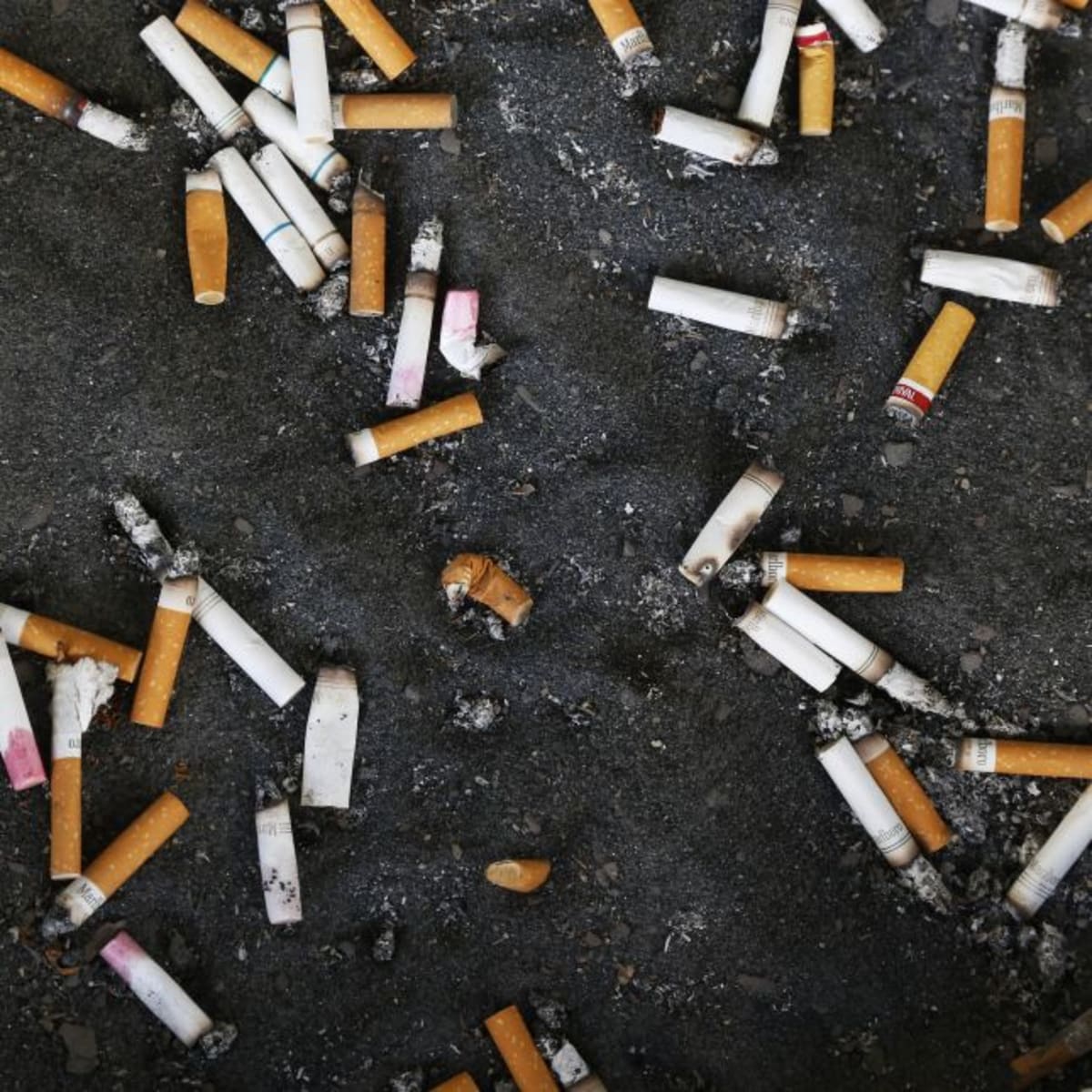 Youth Tobacco Use Drops to 7.2% in 2025 Federal Survey - Image 2