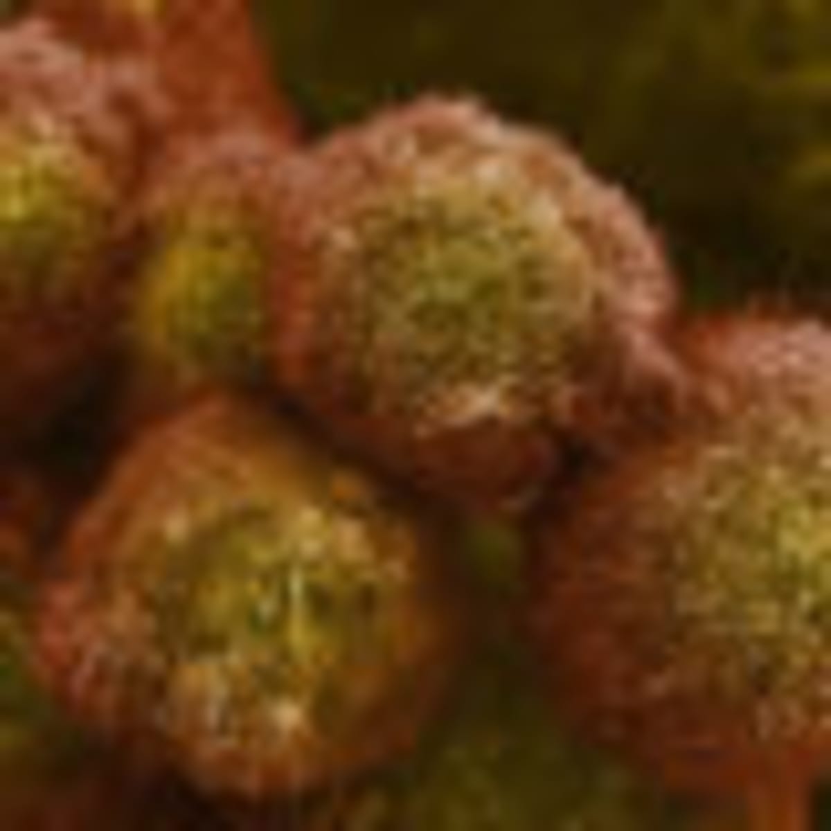 Nurses Could Transform Public Health Messaging - Image 3