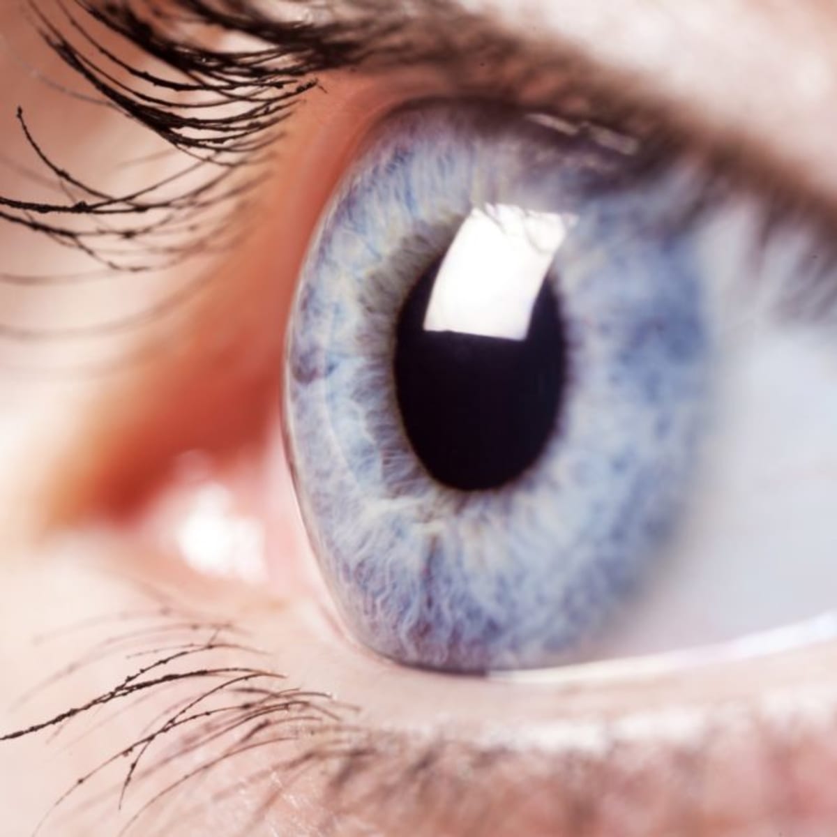 Retinal Implant Restores Vision for Macular Degeneration - Image 2