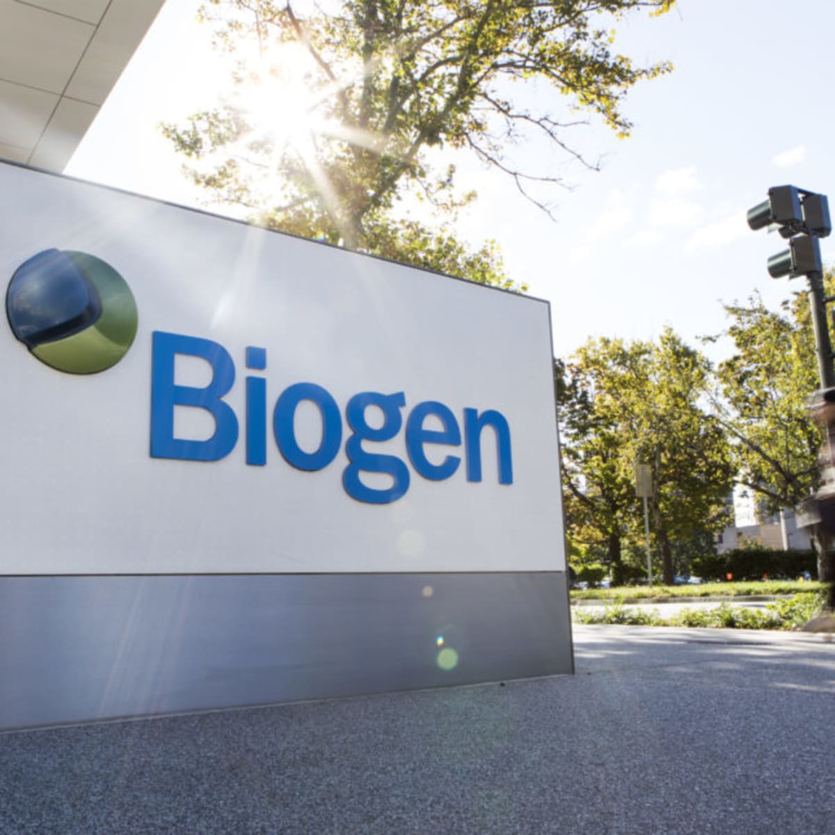 Biogen Lupus Drug Shows Promise for Skin Symptoms - Image 2
