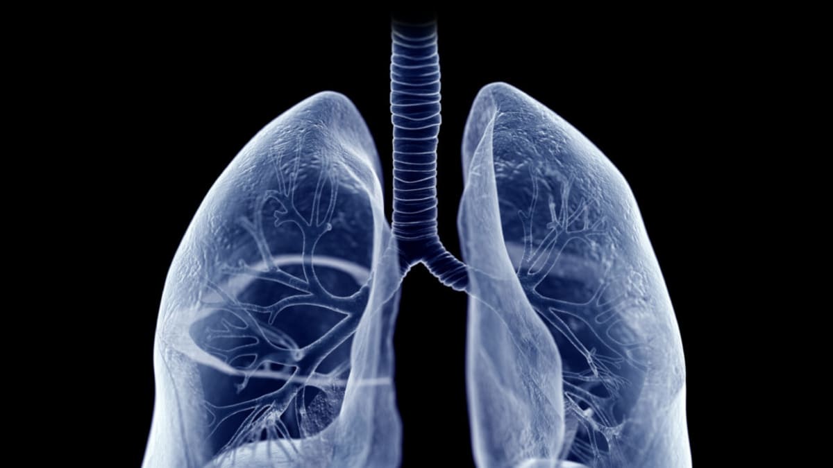 Medical researcher examining lung disease treatment data in modern laboratory setting