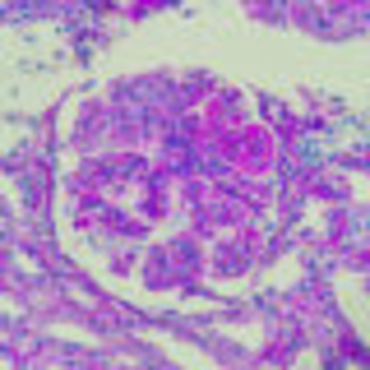 MAHA Activist Finds Hope at Public Health Conference - Image 5