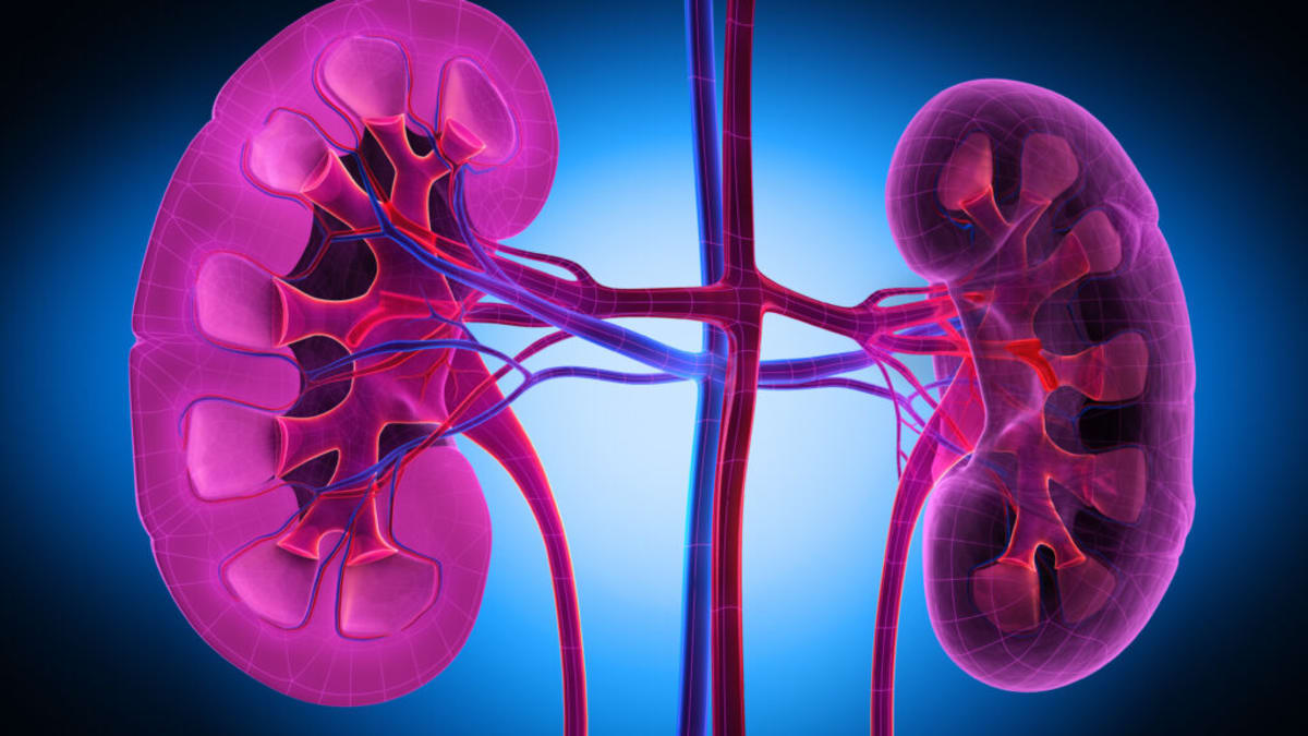 Vertex Drug Cuts Kidney Disease Marker by 50% in Trial