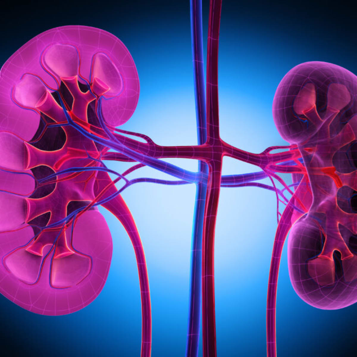 Vertex Drug Cuts Kidney Disease Marker by 50% in Trial - Image 2