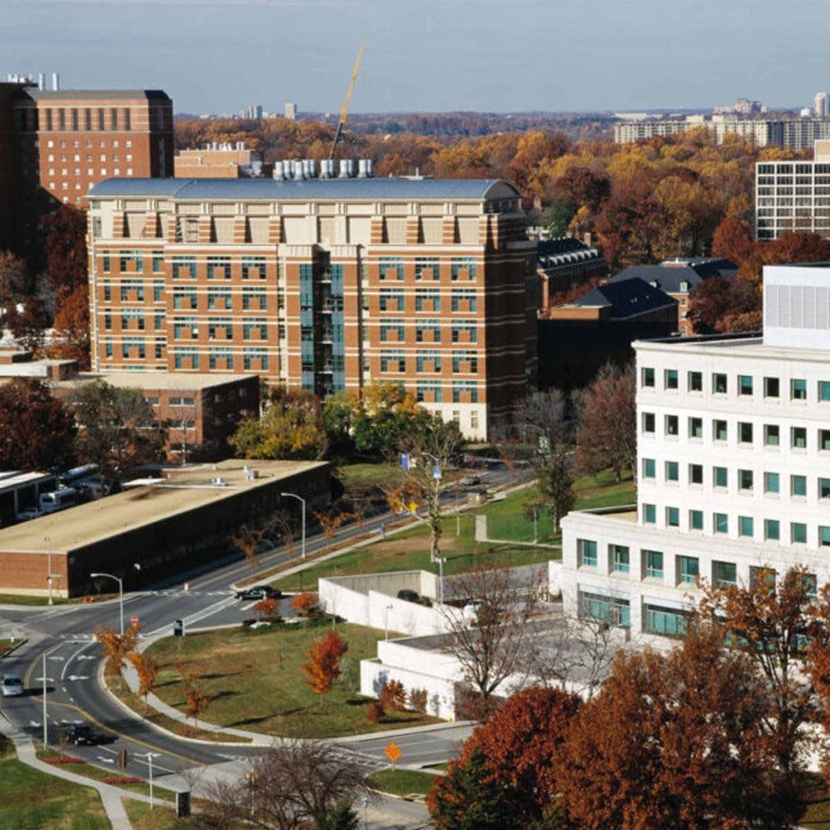 NIH Research Funding Saved as Court Battle Ends - Image 2