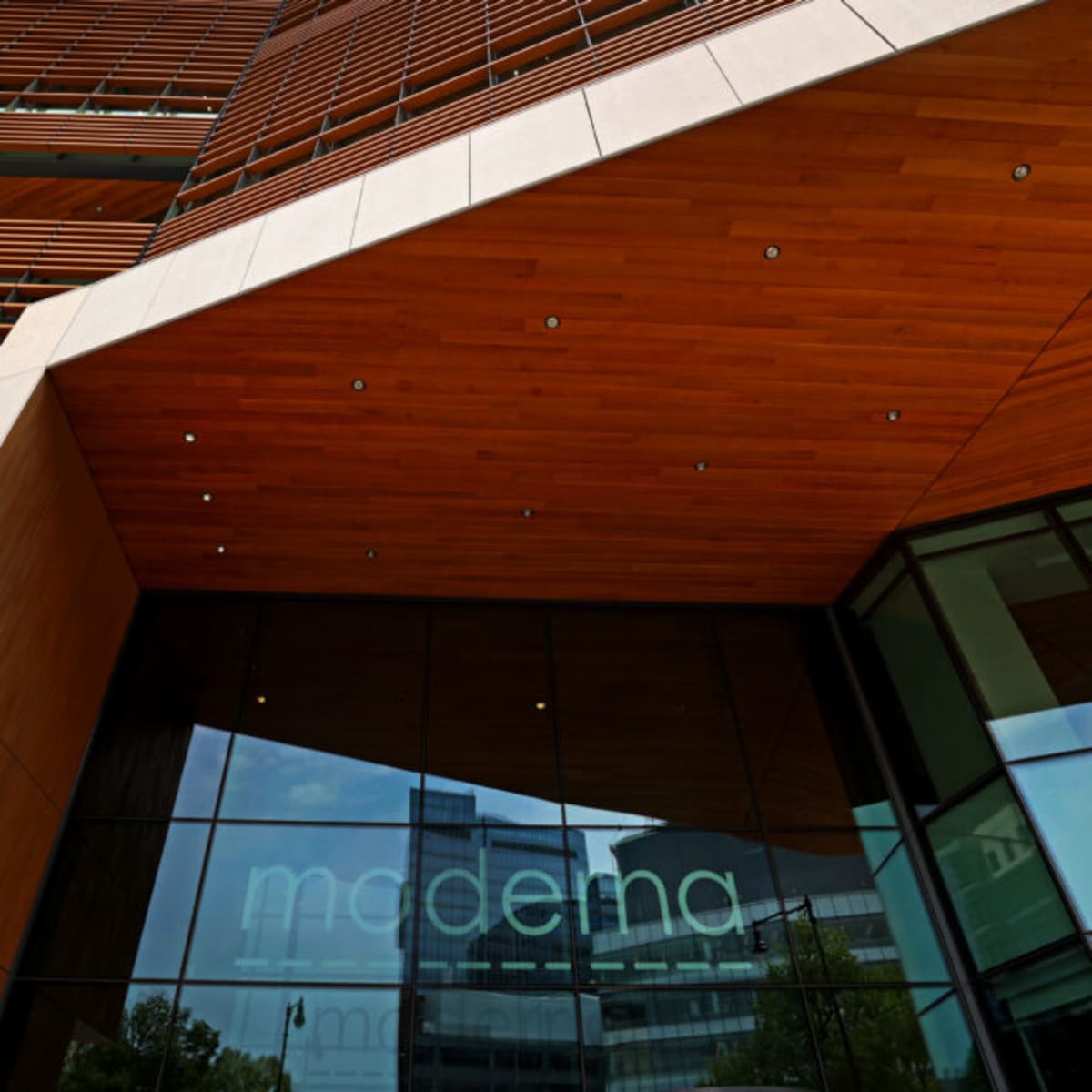 Moderna Advances Bird Flu Vaccine Despite US Funding Cuts - Image 2