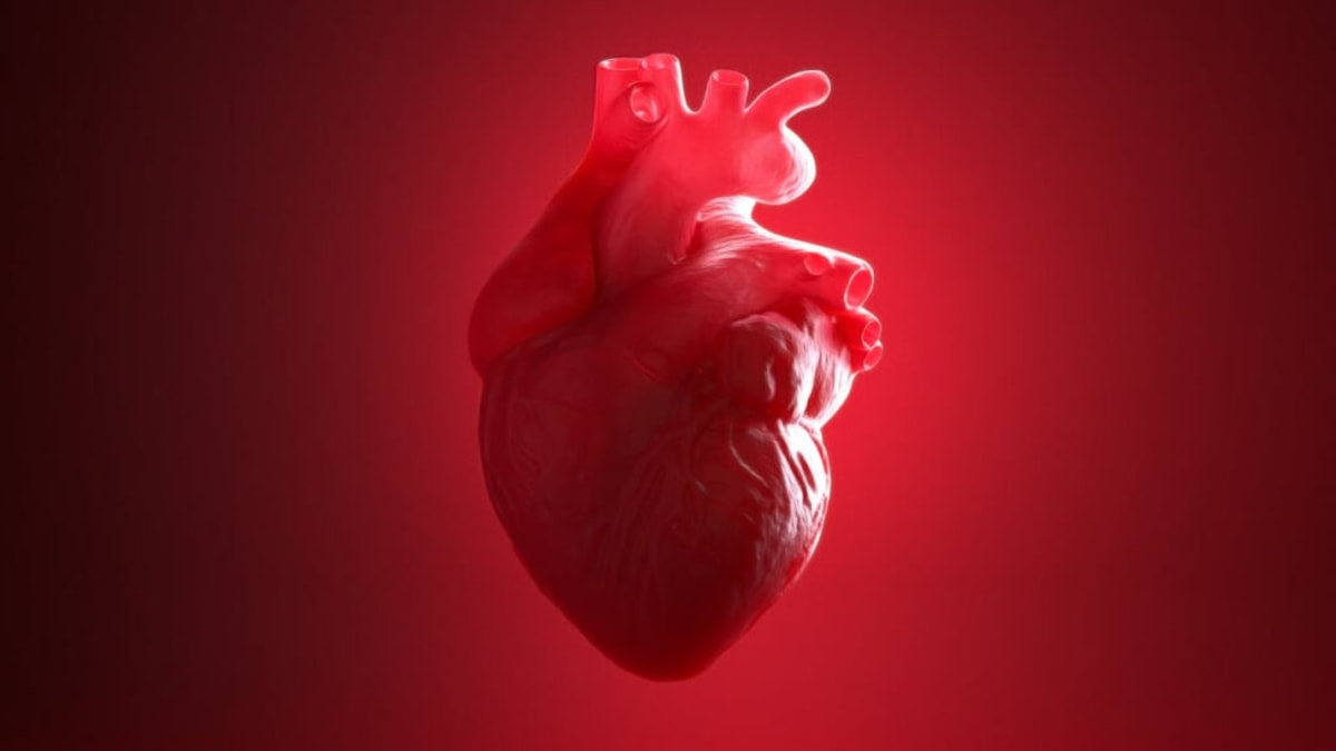 Heart Drug Myqorzo Succeeds in Trial for Genetic Disorder