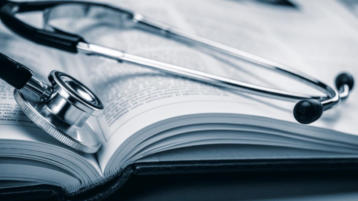 Medical students studying together in bright classroom with healthy food models on desk
