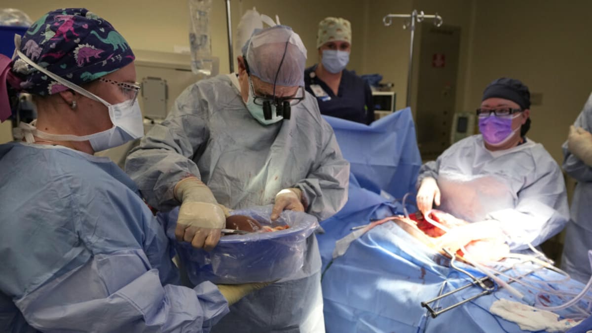 Cell Therapy Helps Liver Patients Skip Anti-Rejection Drugs