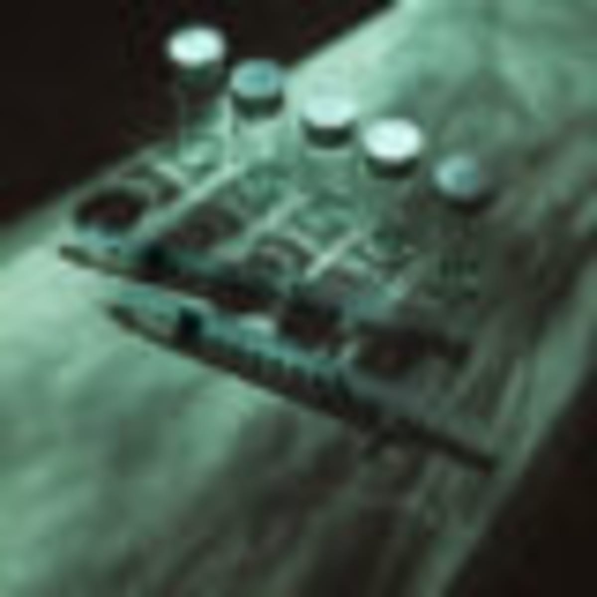 Scientist Cuddles Mice to Unlock Brain's Cleaning System - Image 4