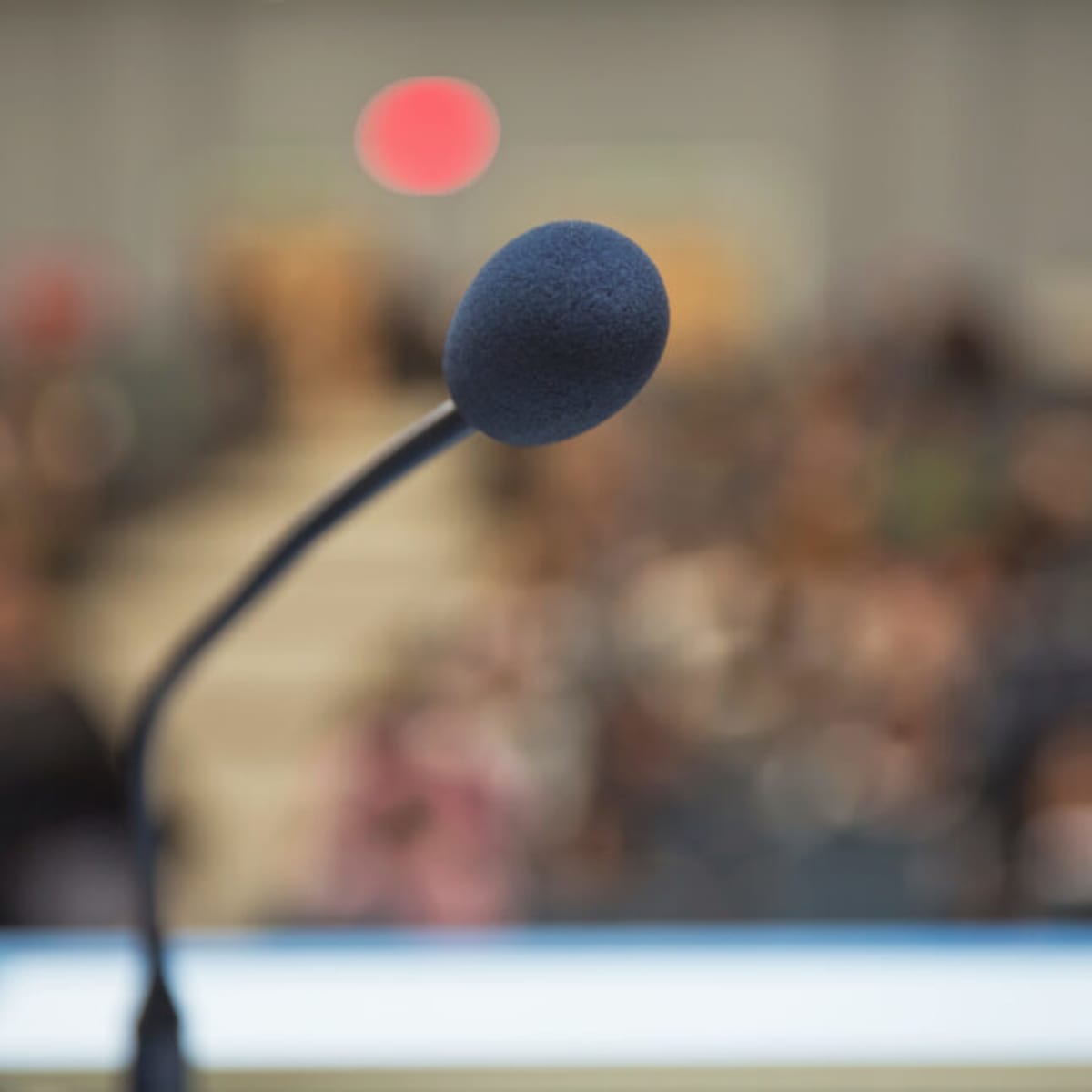 MAHA Activist Finds Hope at Public Health Conference - Image 2