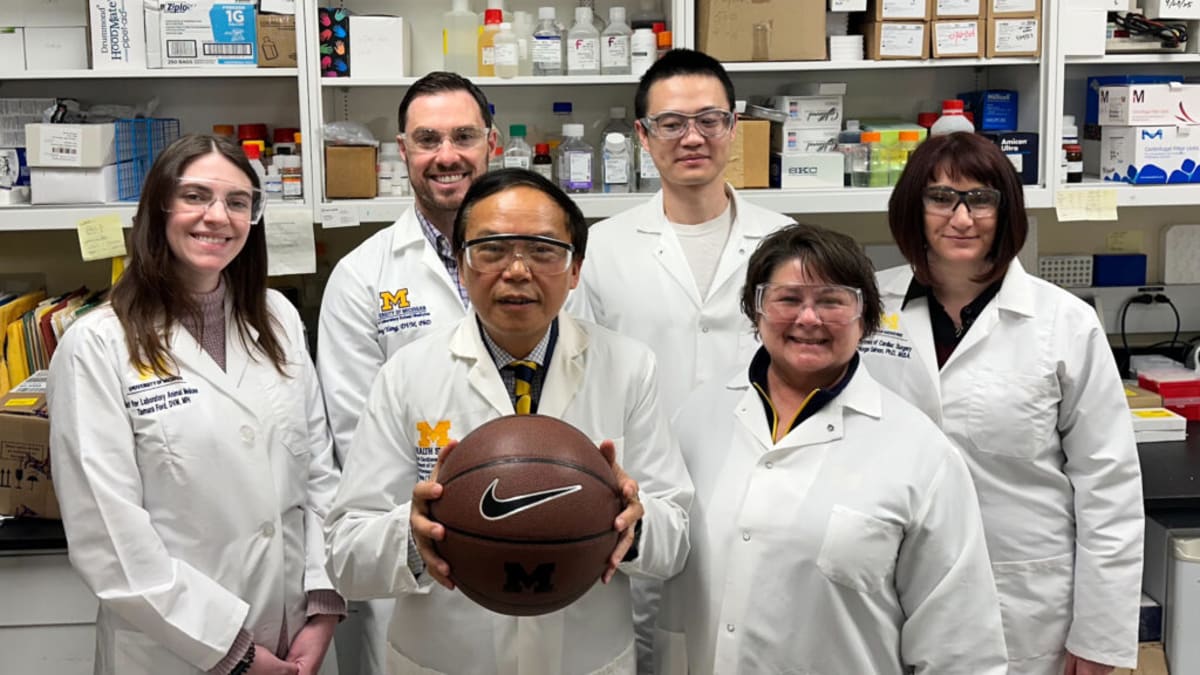 Michigan Finds Trigger for Deadly Aneurysms, Opens Door to Cure