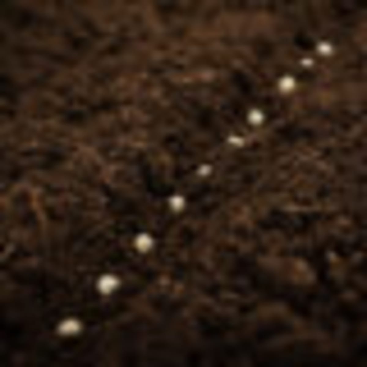 Stem Cell Heart Patches Help Failing Hearts Pump Again - Image 3