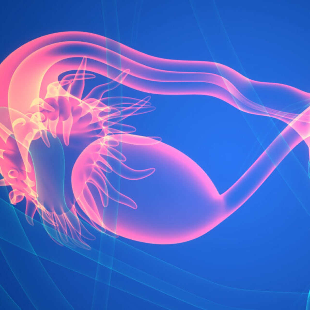 Women's Health Condition Gets Name That Finally Fits - Image 2