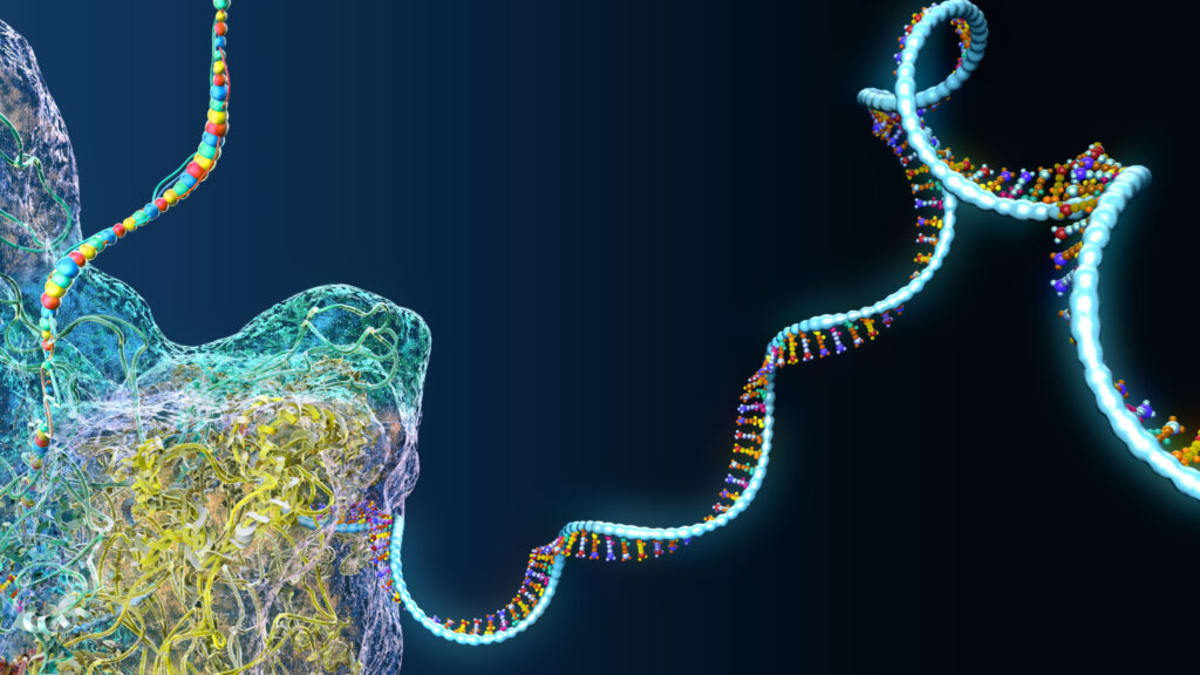ARPA-H Funds Custom RNA Therapy Development