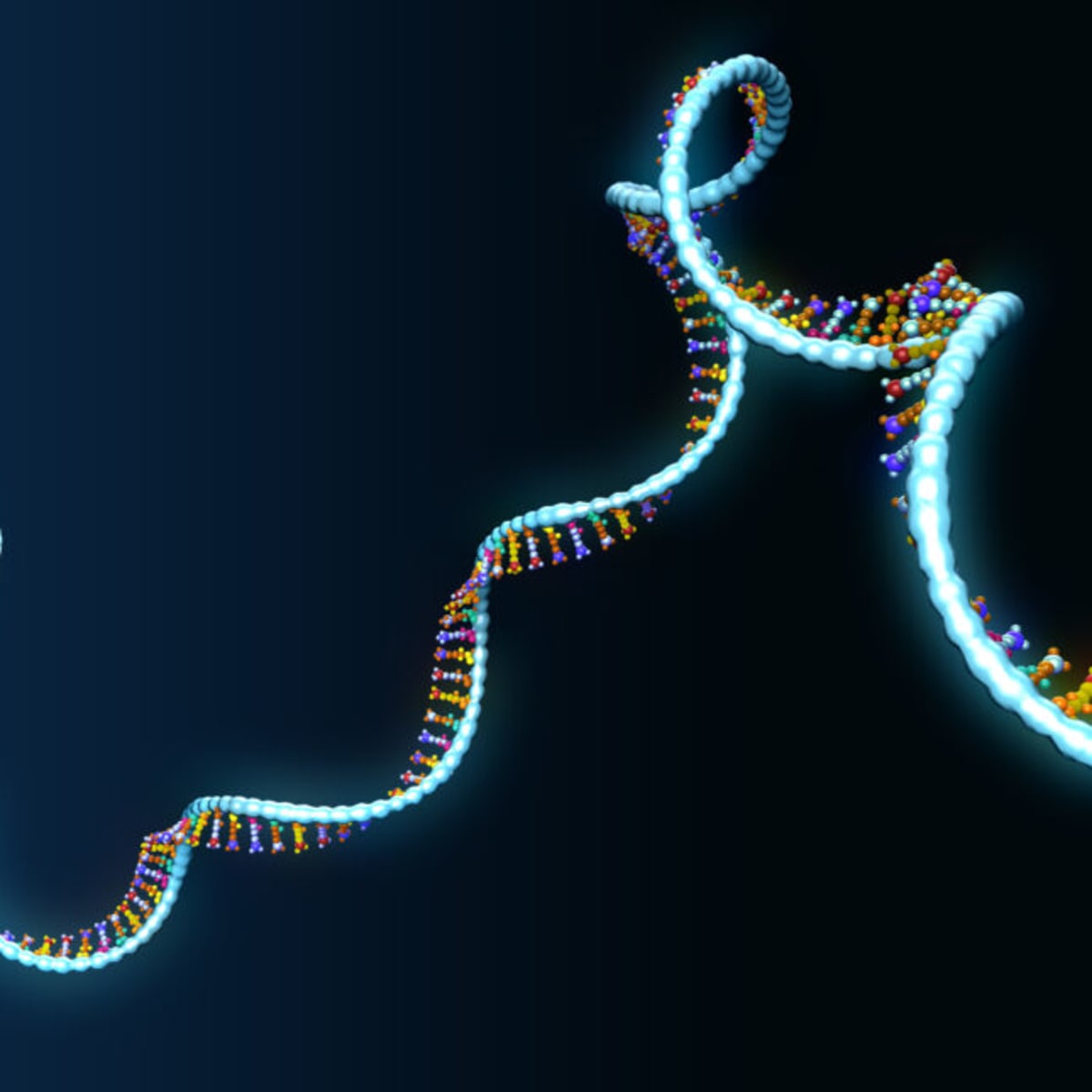 ARPA-H Funds Custom RNA Therapy Development - Image 2