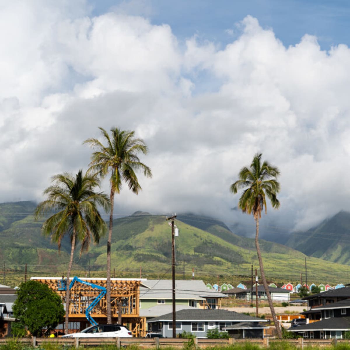 Maui Fire Study Becomes Model for Rural Health Care - Image 2