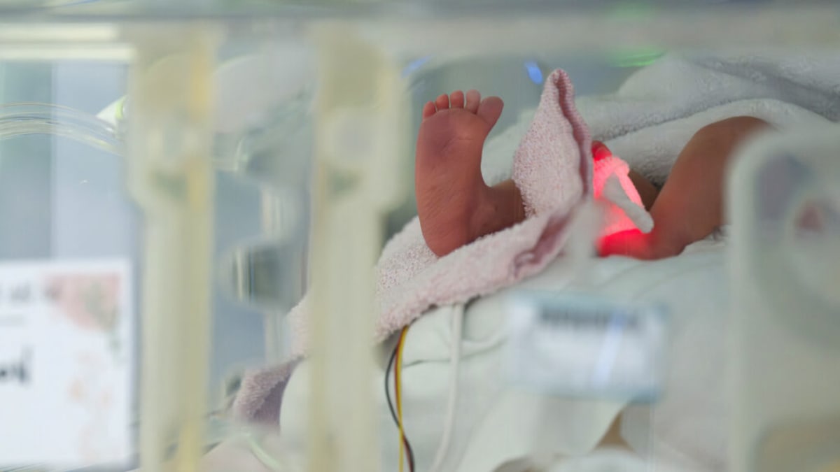 Scientists working with gene editing technology in modern laboratory setting with advanced equipment