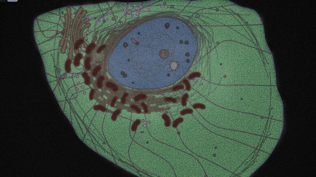Nobel Winner's AI Predicts How Entire Human Cells Work