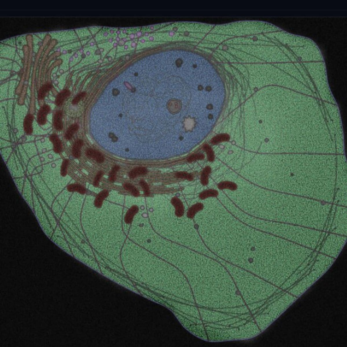 Nobel Winner's AI Predicts How Entire Human Cells Work - Image 2