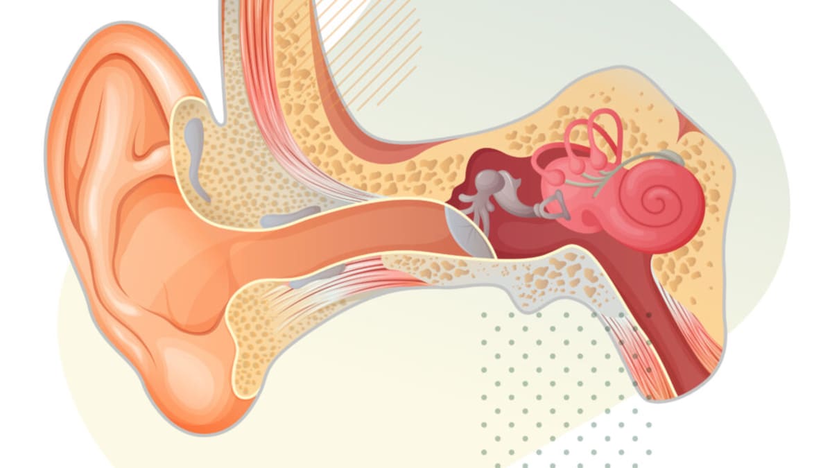 New Gene Therapy Trial Targets Most Common Deafness Gene