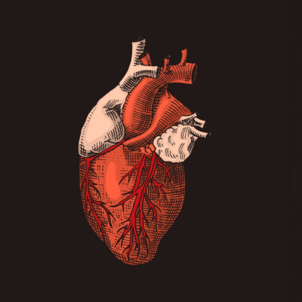 First Drug for Rare Heart Condition Nears FDA Approval - Image 2
