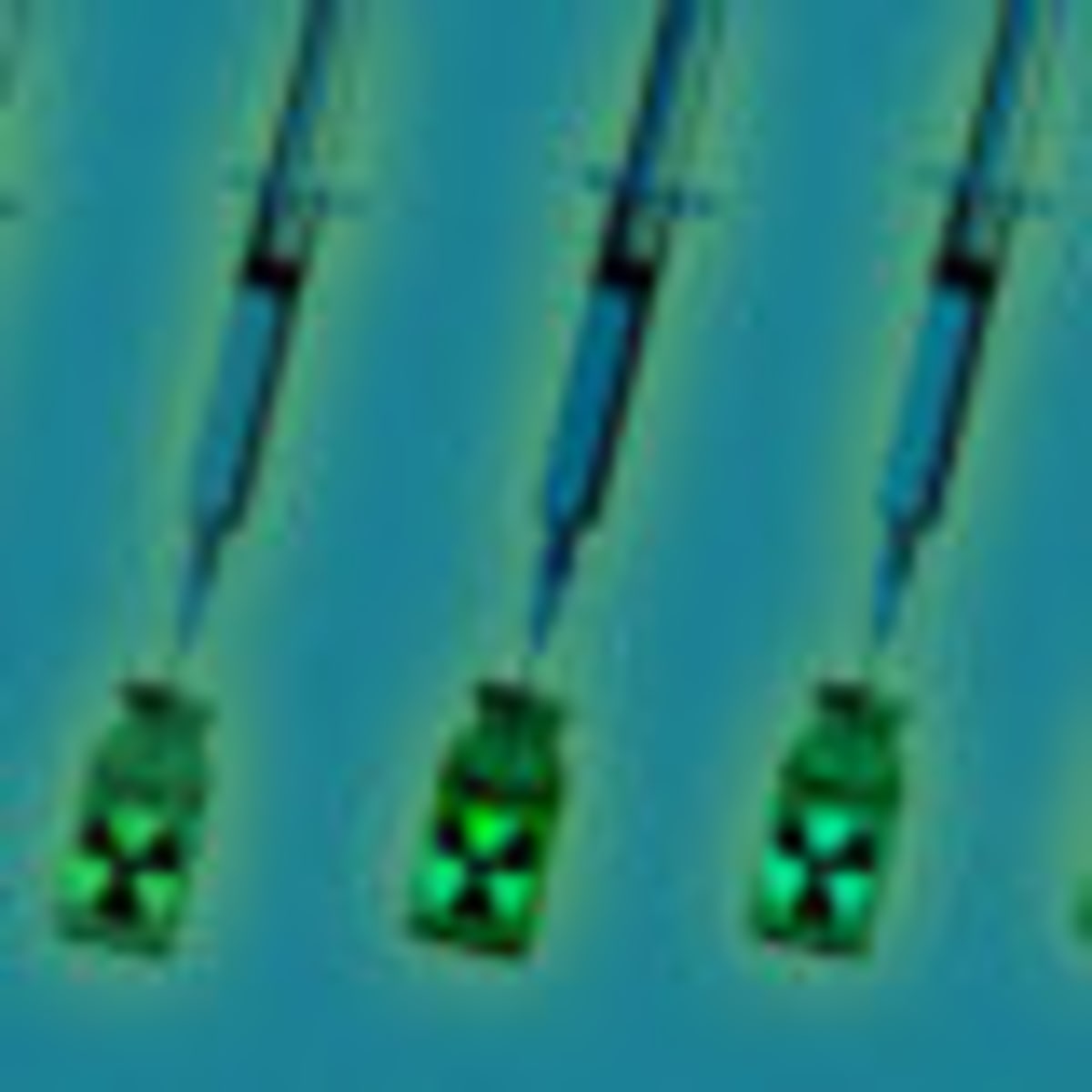 Cancer Vaccine Shows Promise, Could Restore Trust in mRNA - Image 3