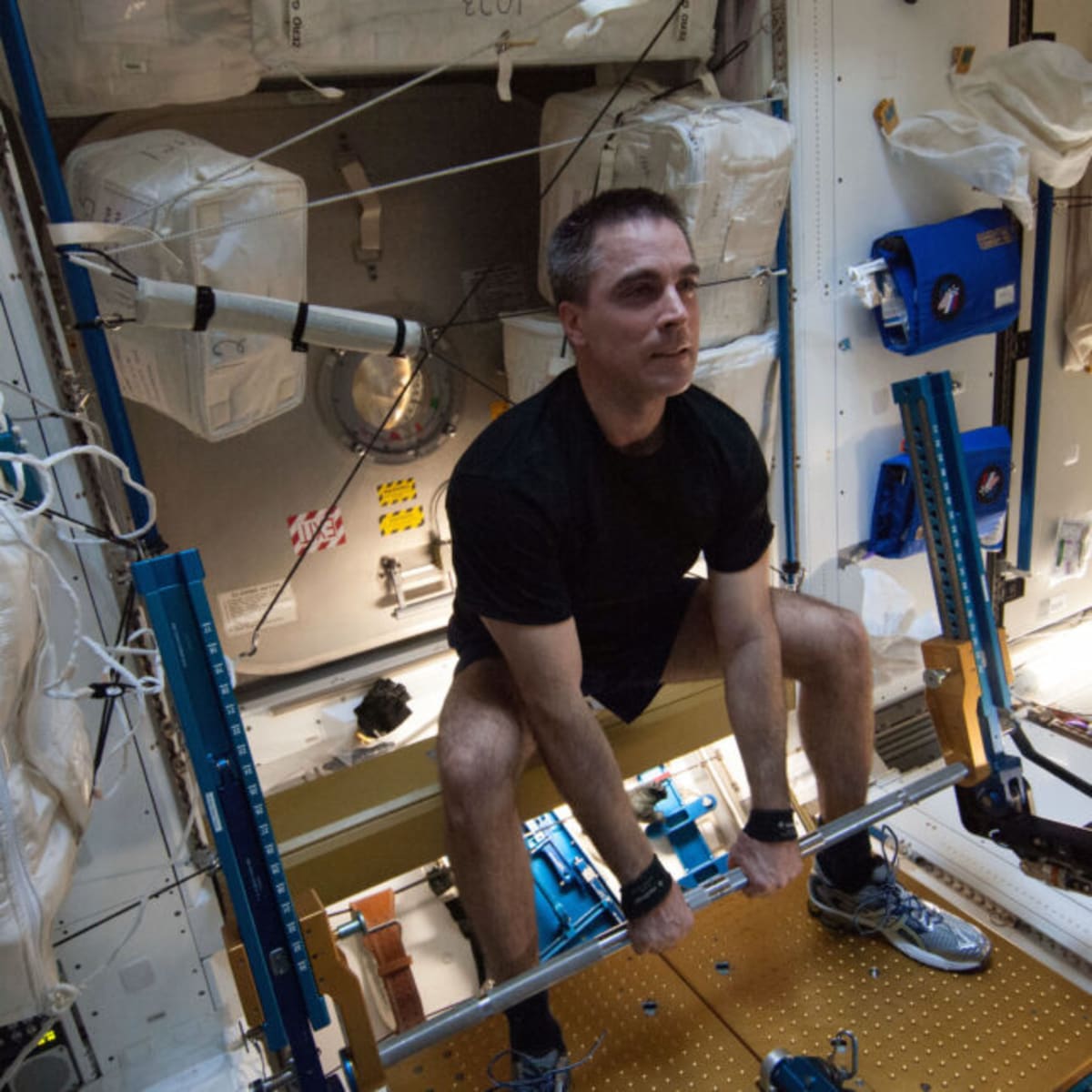 Astronauts' Hearts Stay Strong After 6 Months in Space - Image 2