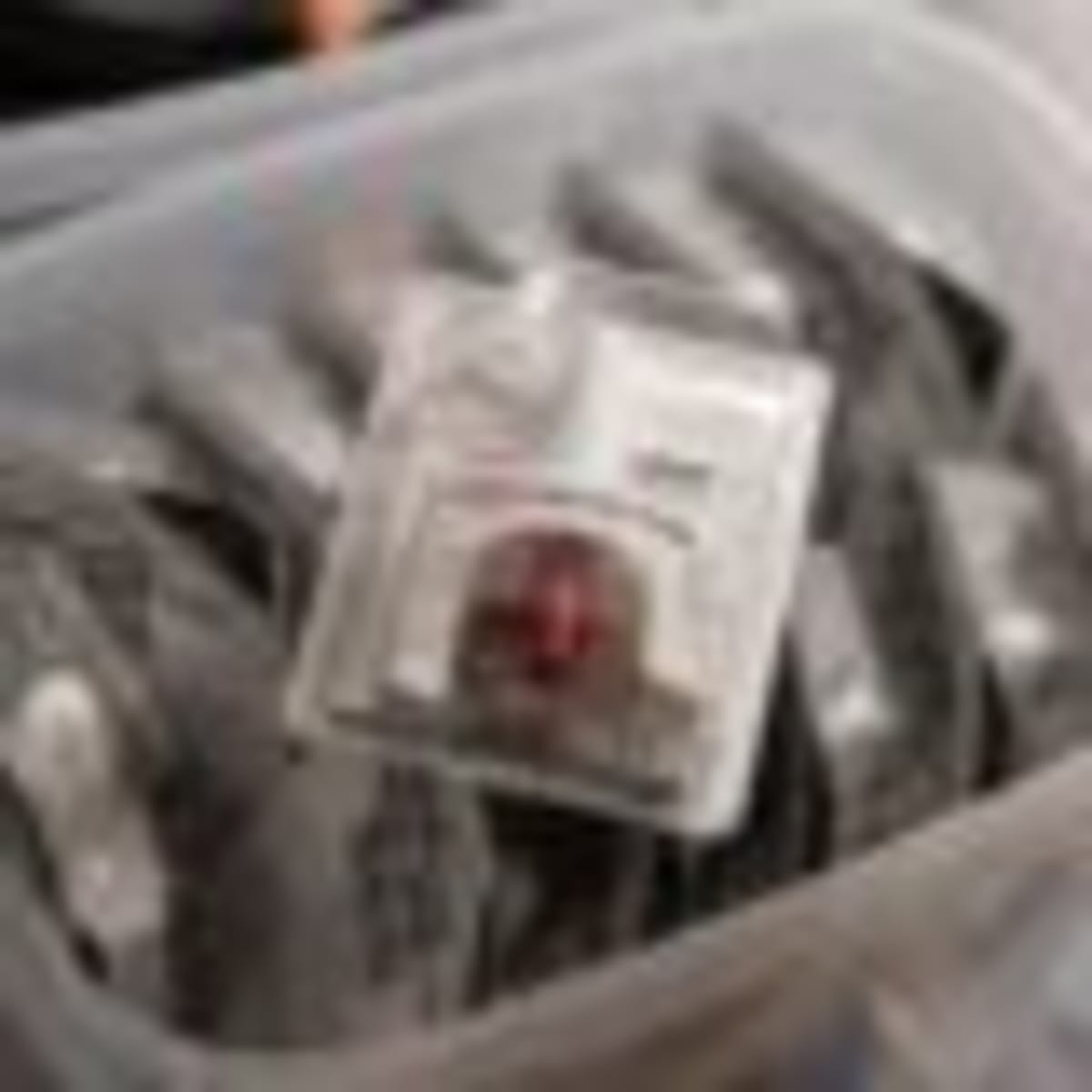 Pig Kidney Patients Get Human Transplants Successfully - Image 4