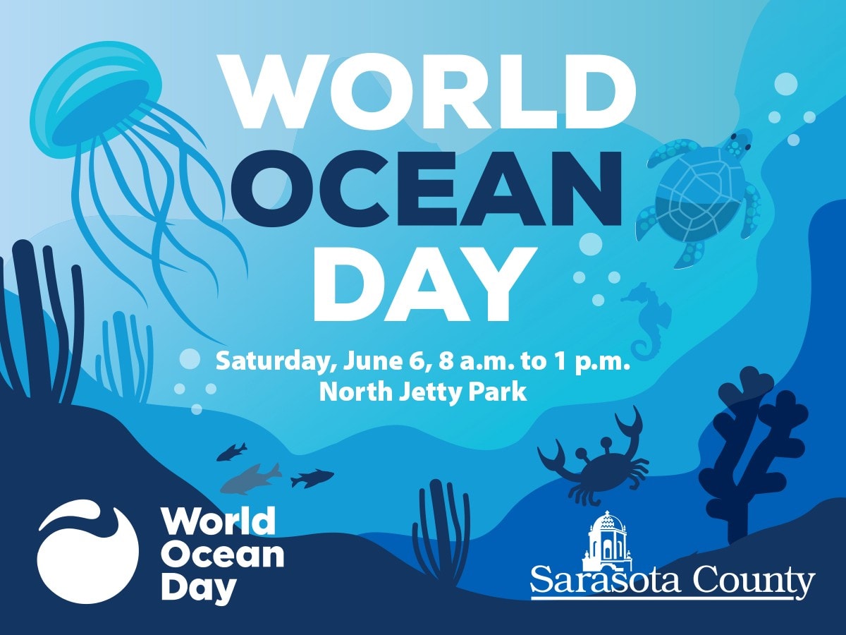 Volunteers collecting trash and debris during beach cleanup at Florida Gulf Coast shoreline
