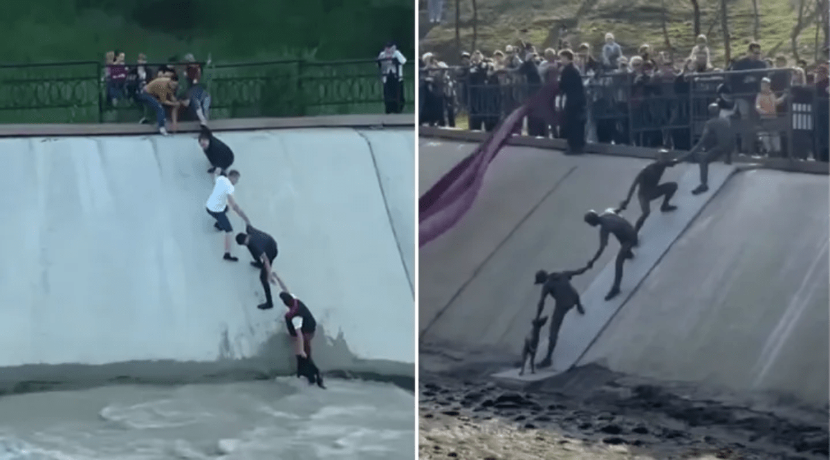 Dog Survives Week in Wild After Owner's 180-Foot Fall - Image 5