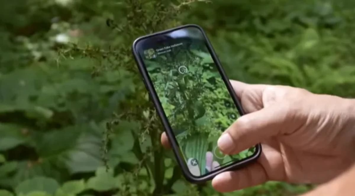 Person using smartphone with iNaturalist app to photograph wildlife in nature