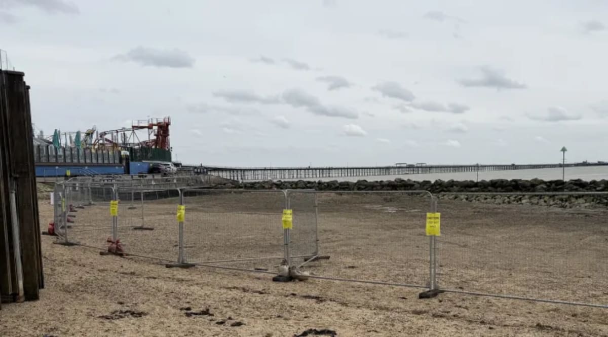 Theme Park Crew Saves Mom and Daughter from Quicksand