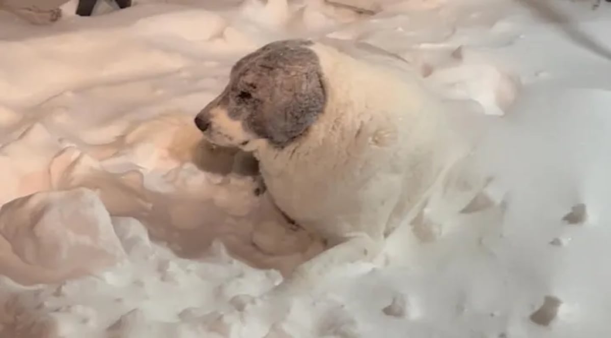 Homeless Man Saves Missing 6-Year-Old in Miami - Image 4