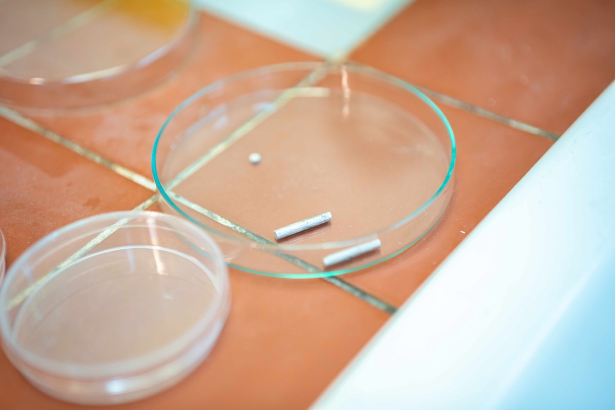 New Implant Coating Could End Follow-Up Surgeries - Image 3