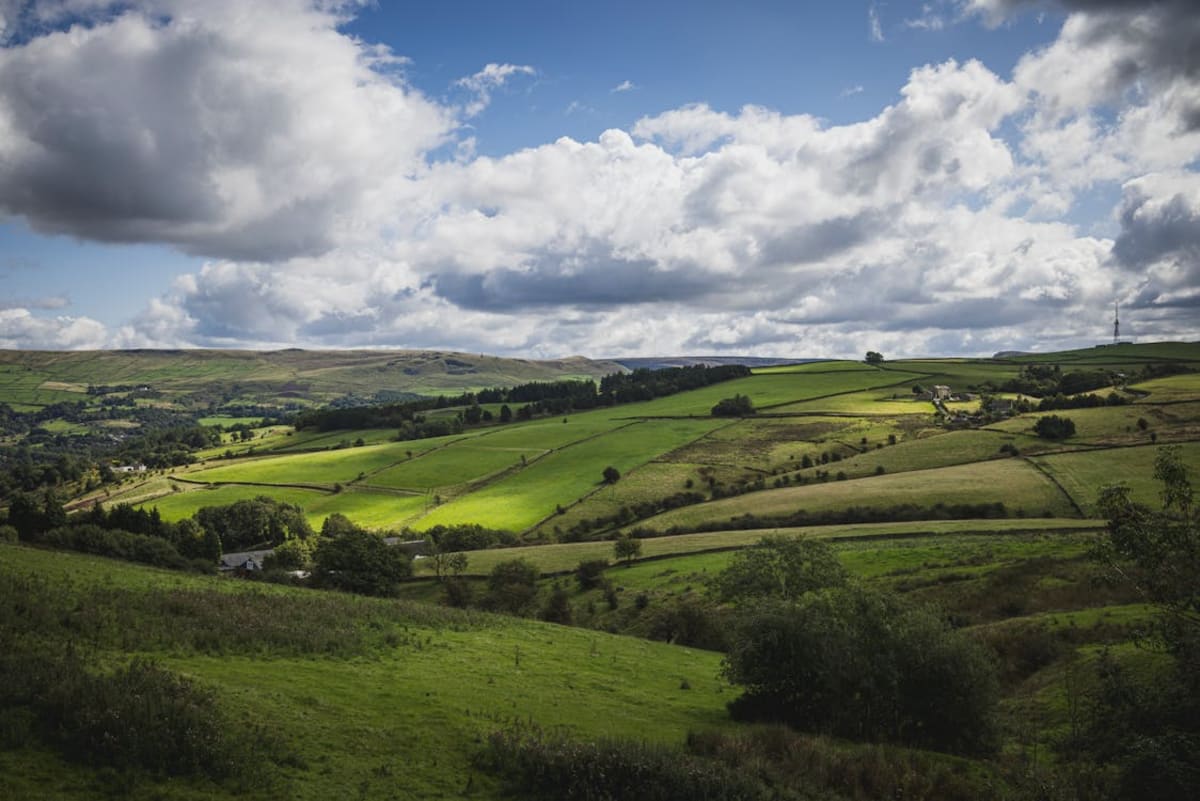 Expansive Cornwall moorland with wetlands, purple heather, and rolling hills under cloudy skies