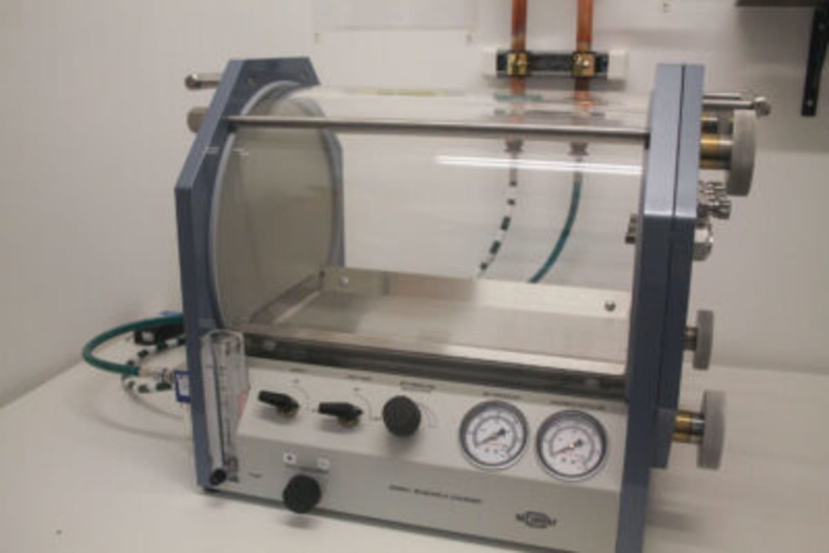 Oregon Researchers Test Oxygen Therapy for Muscle Injuries - Image 3