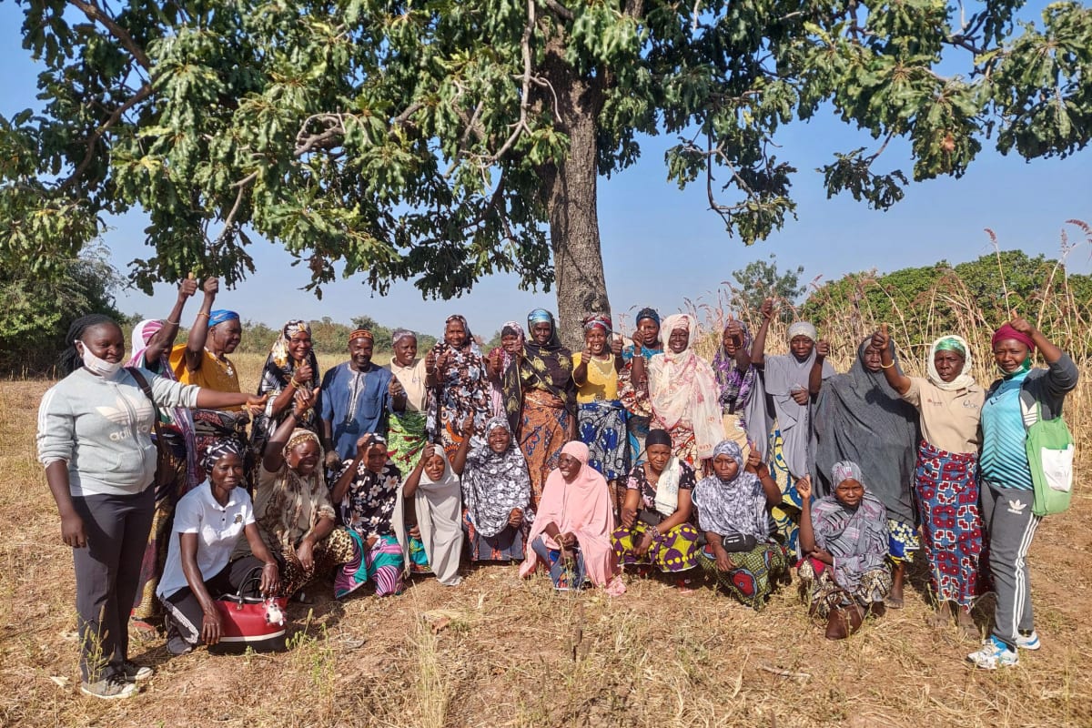 Swiss Salt Fix Ended Cretinism in the Alps - Image 5