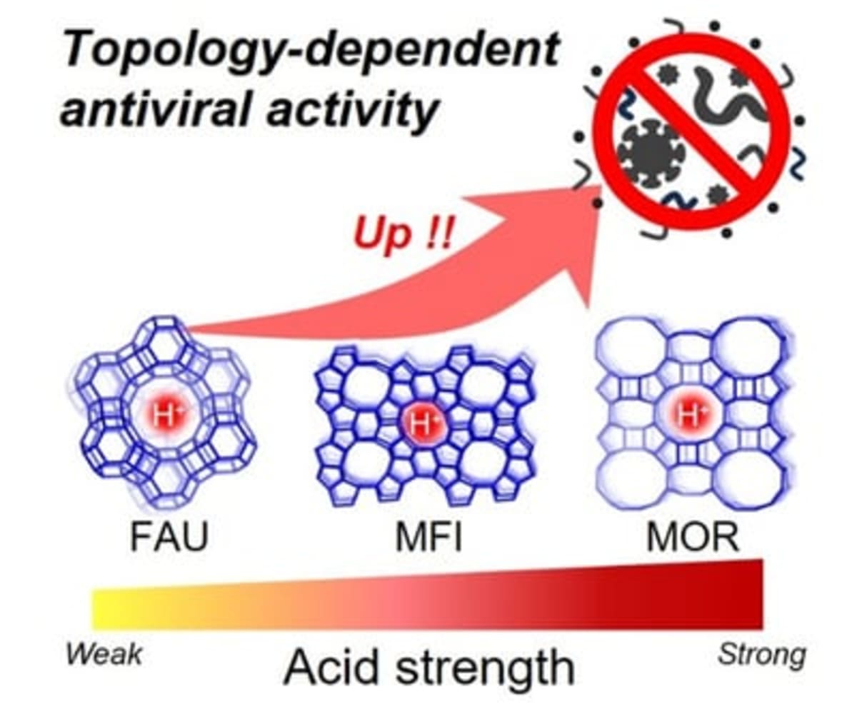Natural Zeolite Breaks Virus Without Toxic Metals - Image 2
