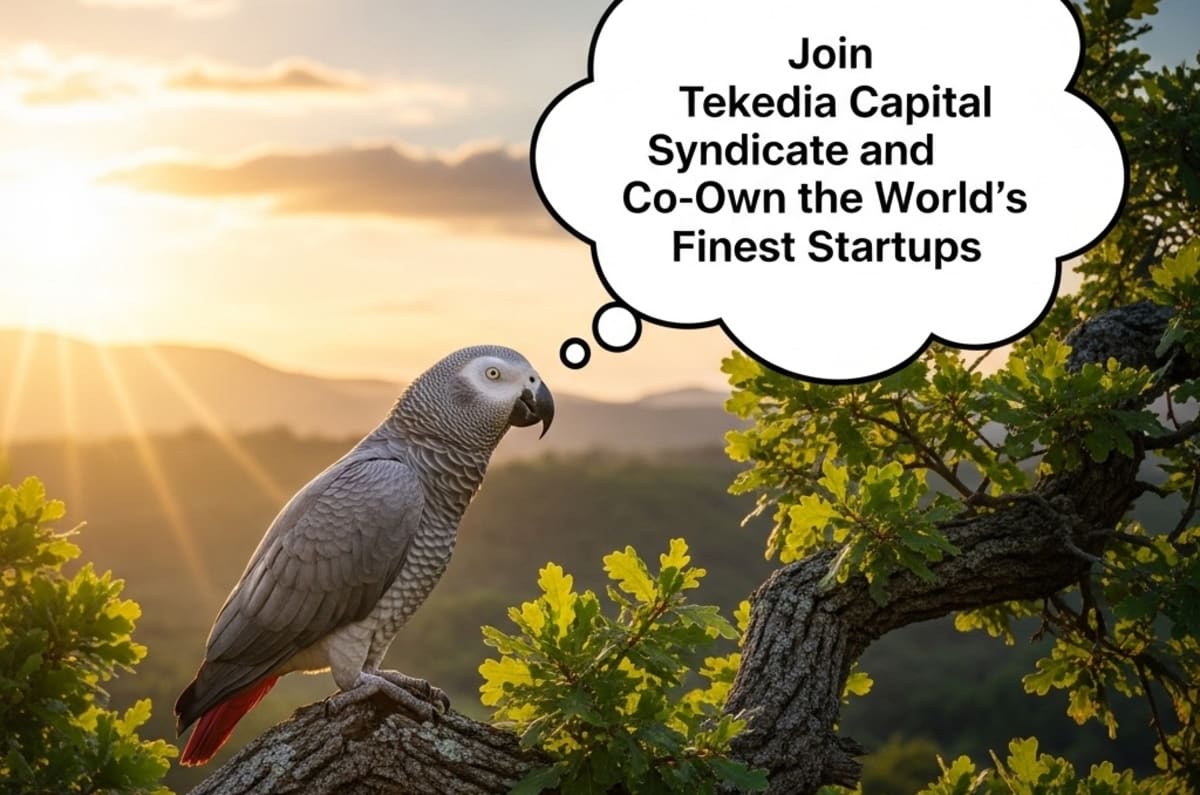 UAE Schools Add AI Lessons for All Students K-12 - Image 3