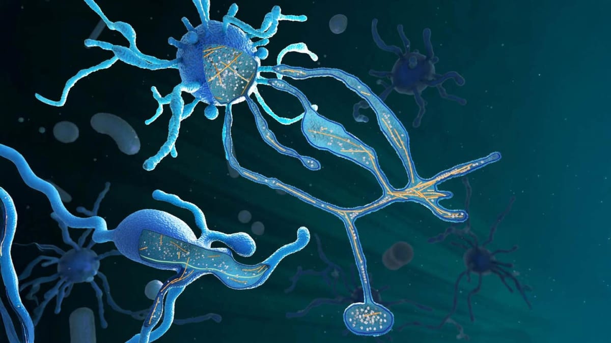 Scientists Find New Way to Target HIV Hiding in Body - Image 4