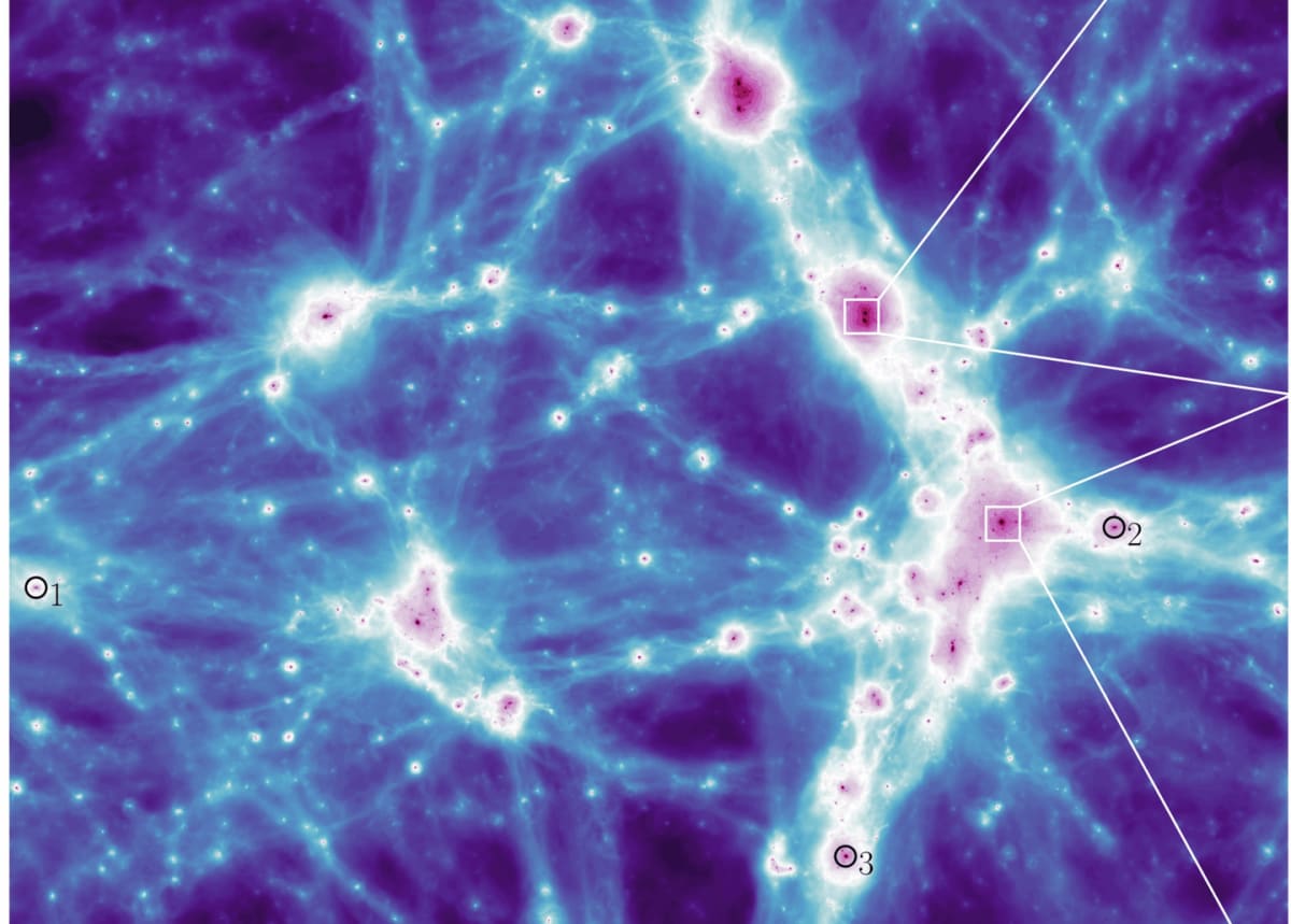 Ancient Plants Beat Earth's Worst Extinction With Night Trick - Image 3