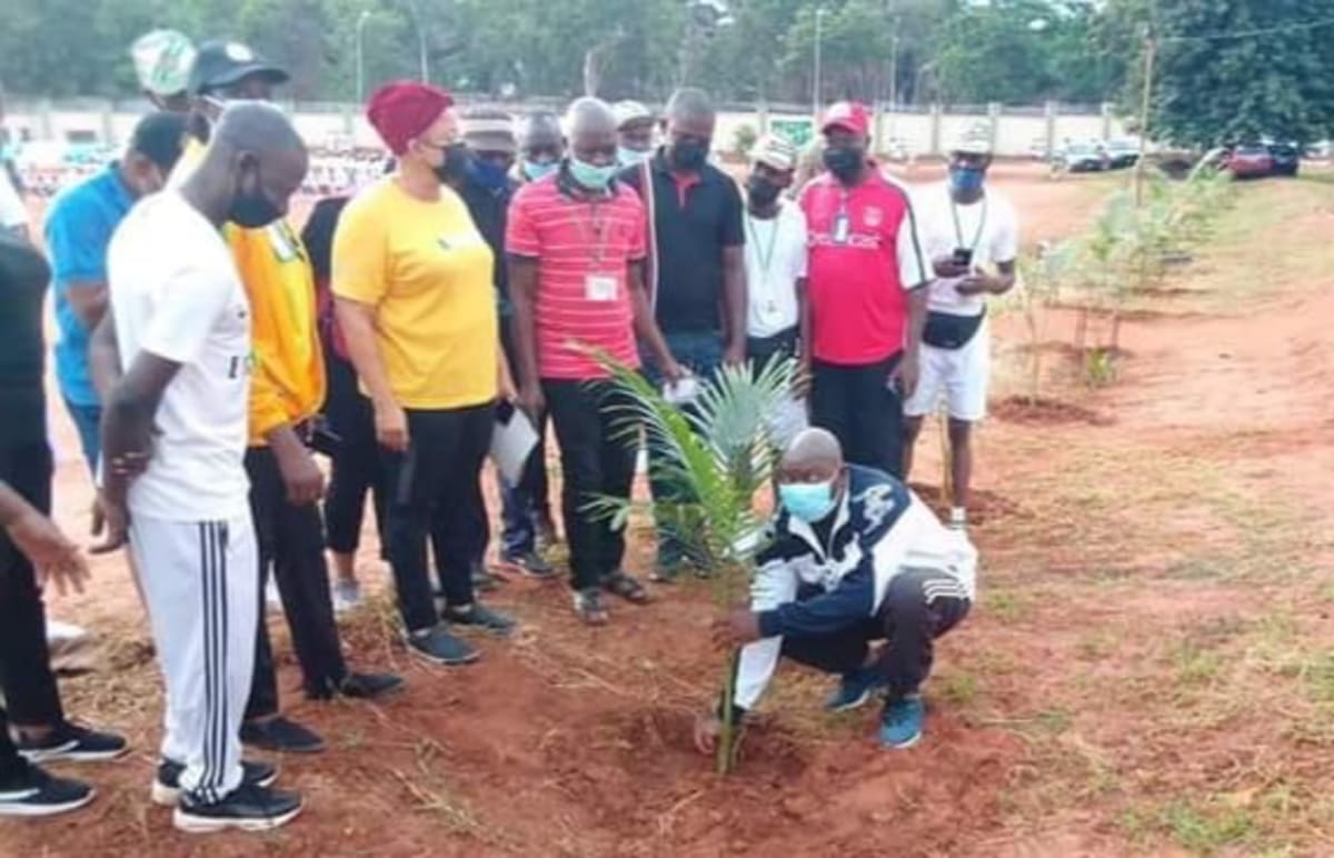 Solar Power Hits 75% of New Renewable Energy in 2025 - Image 4