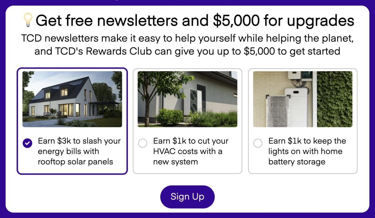 Wood Storks Soar Off Endangered List After 40-Year Comeback - Image 3