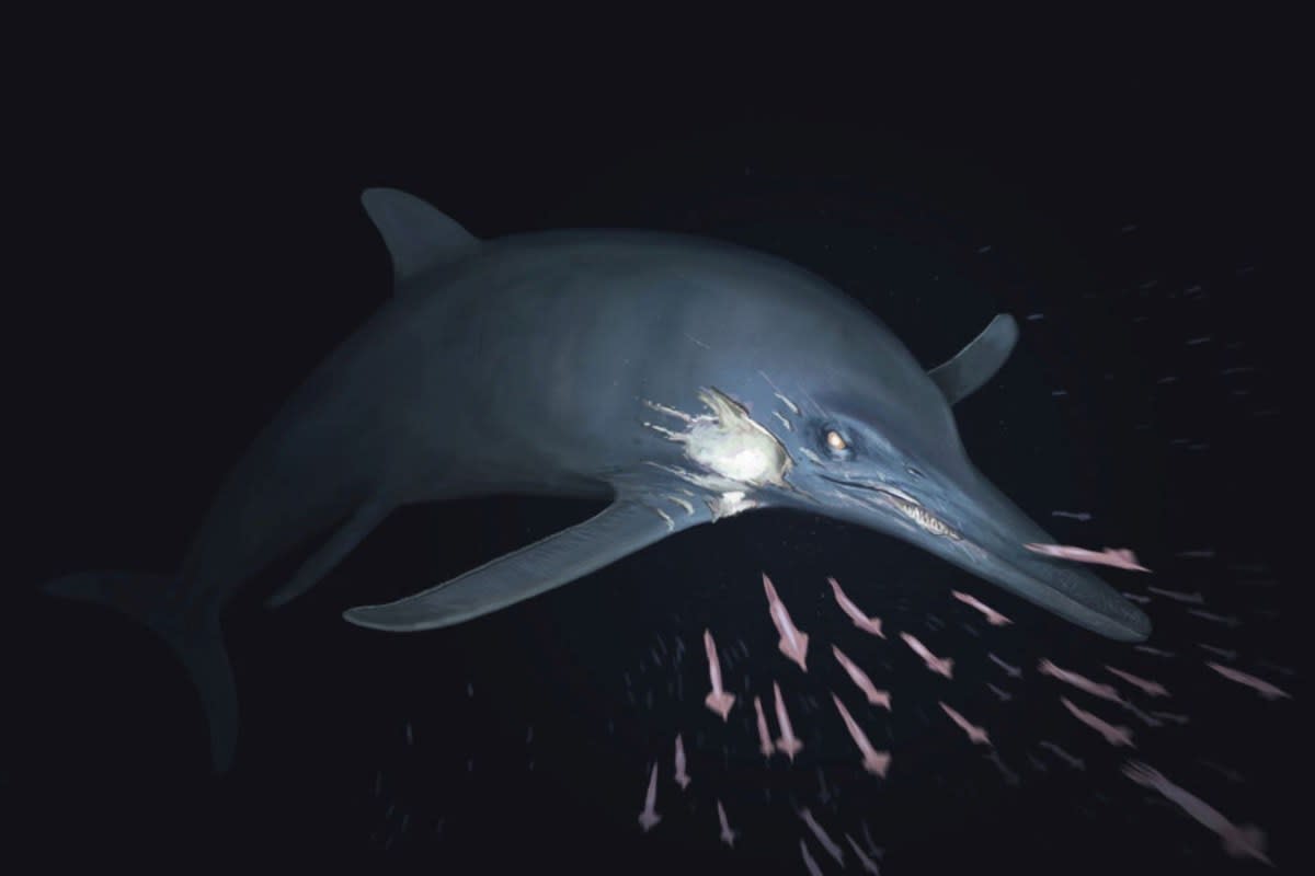 20-Foot Sea Predator Survived With Ancient Resilience - Image 2